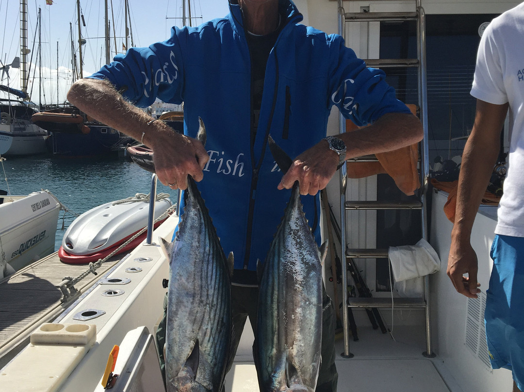 Barracuda Perdomo-科拉雷侯必去景点