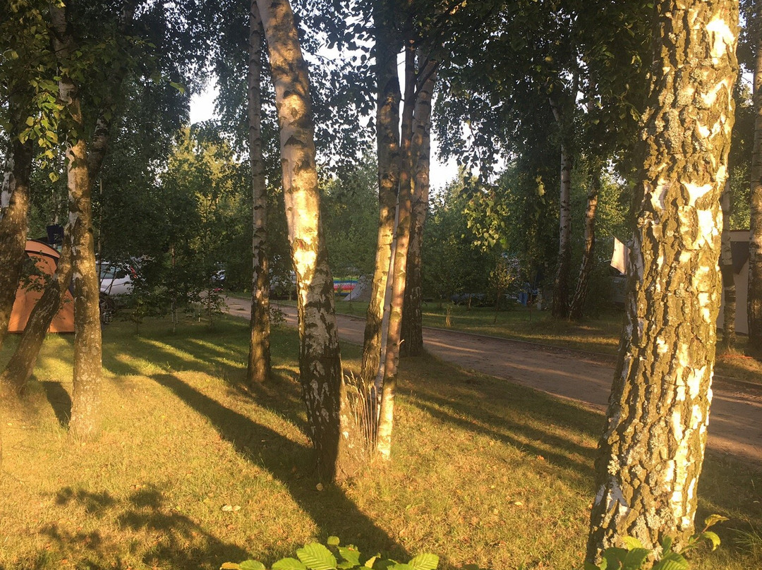 Pole Namiotowe Lazurowe