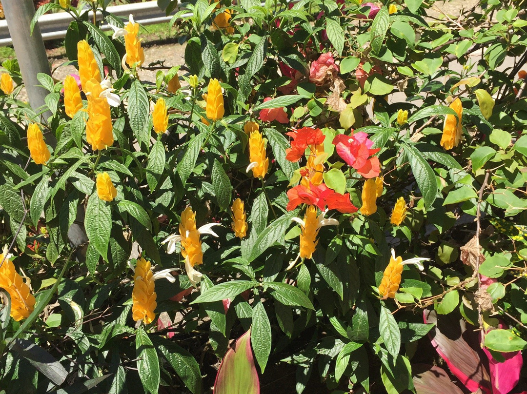 Mentirotiku Guest House主图