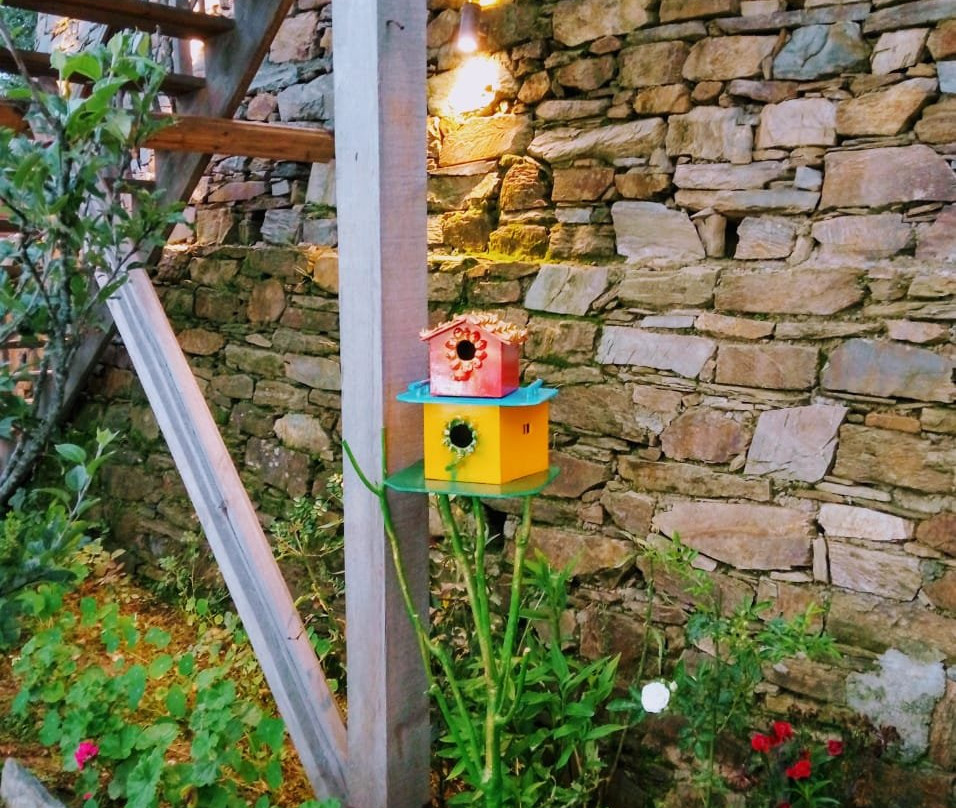 Treehouse Resort主图