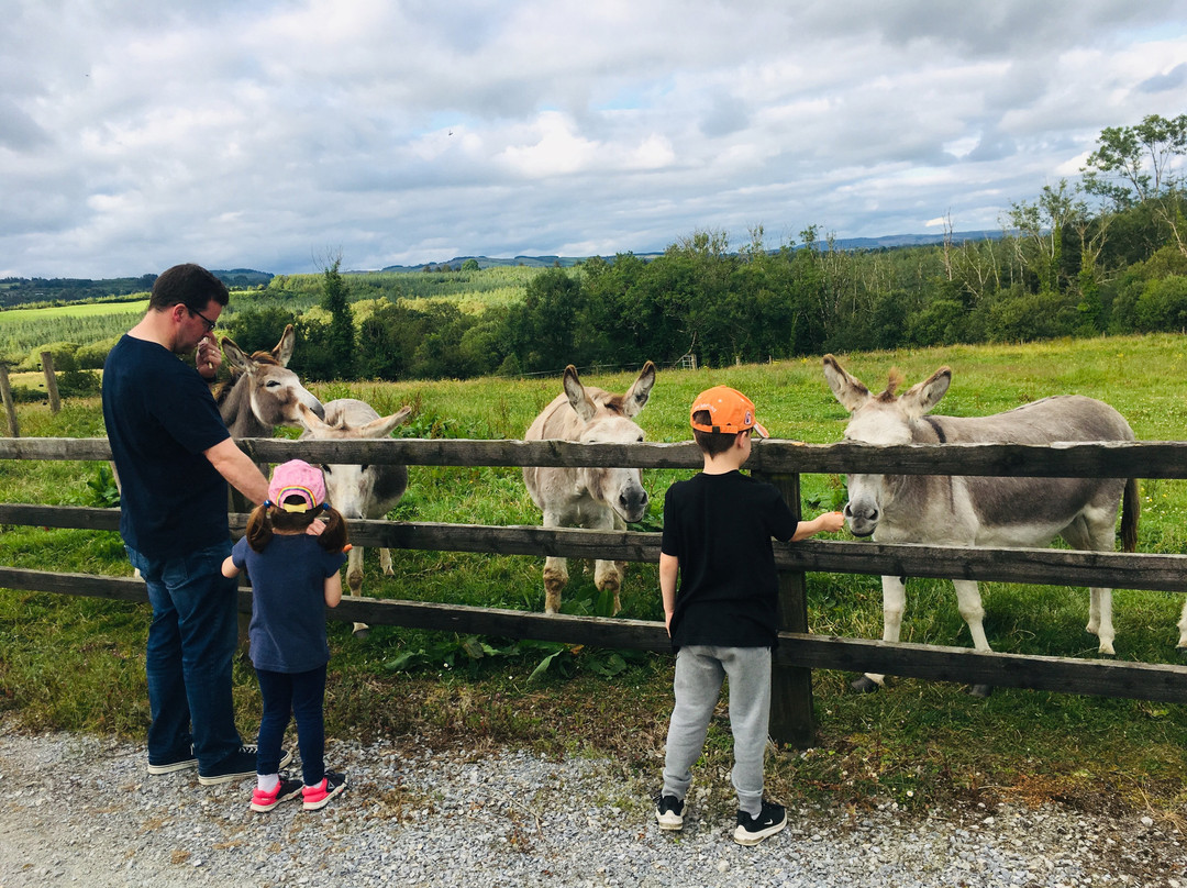 Clondanagh Cottage主图
