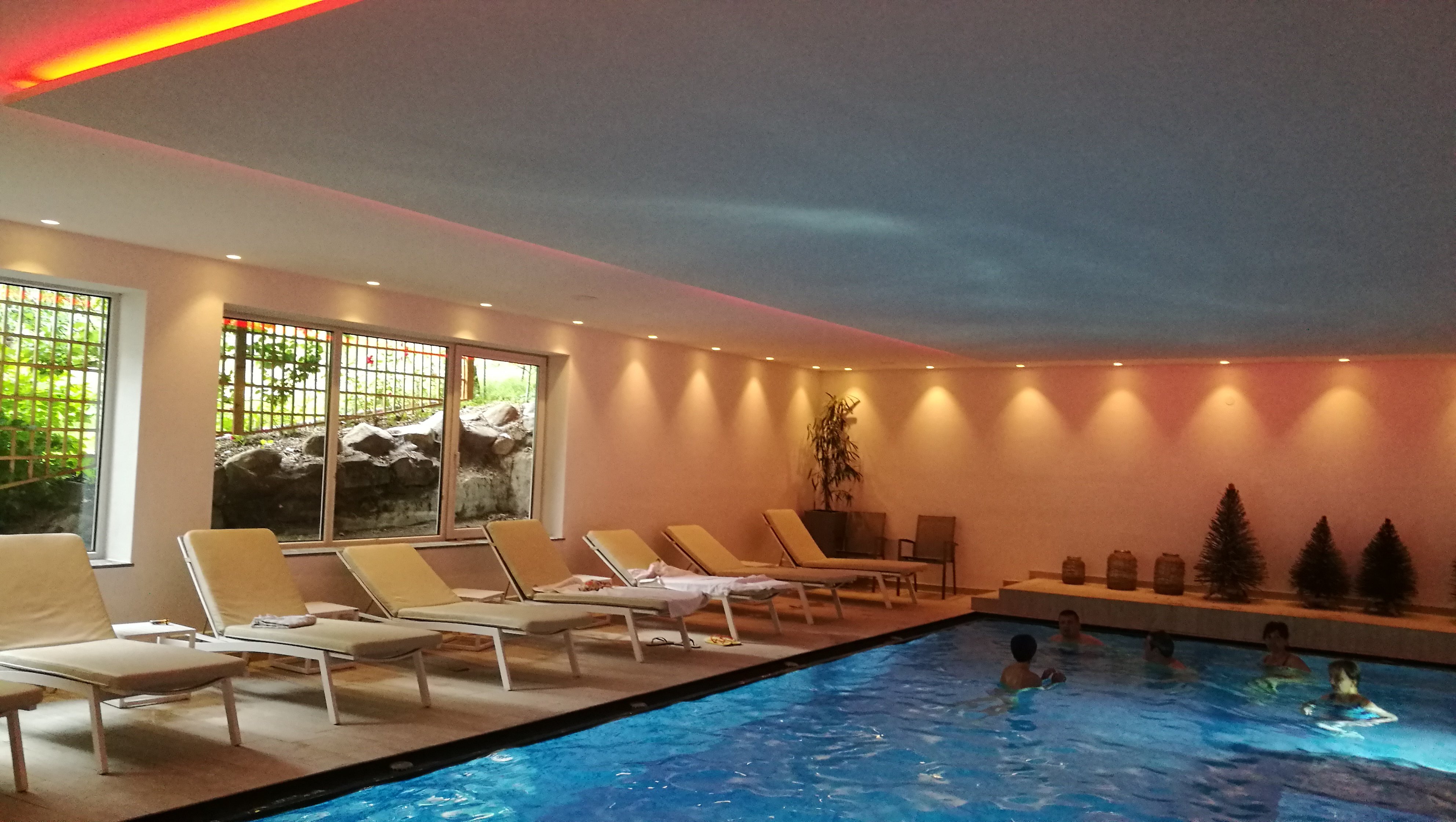 Parkhotel Schachen-泳池