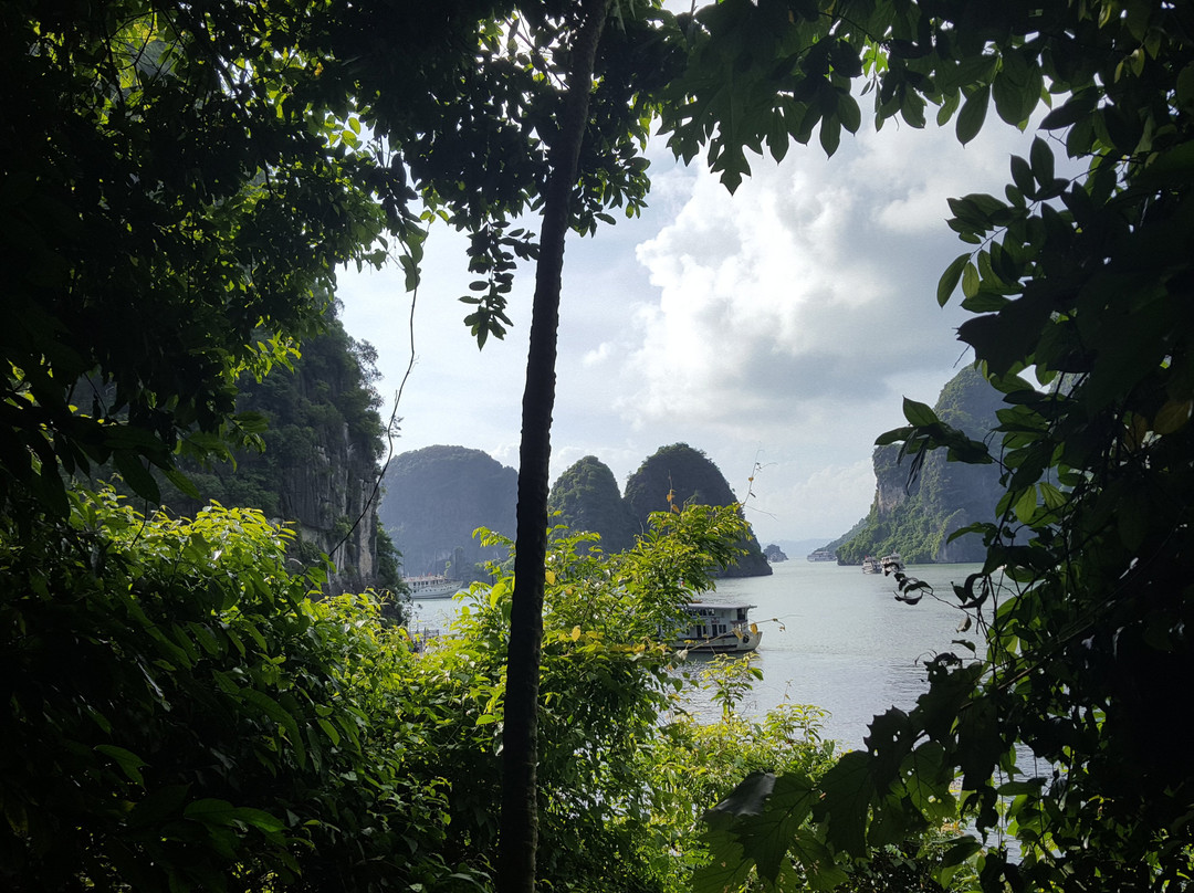 Alova Premium Cruises-团洲岛必去景点