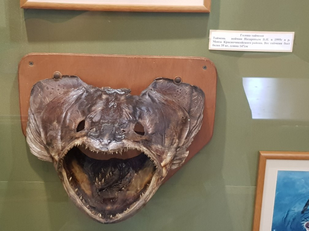 Chita Regional Kuznetsov Museum of Local Lore-赤塔必去景点