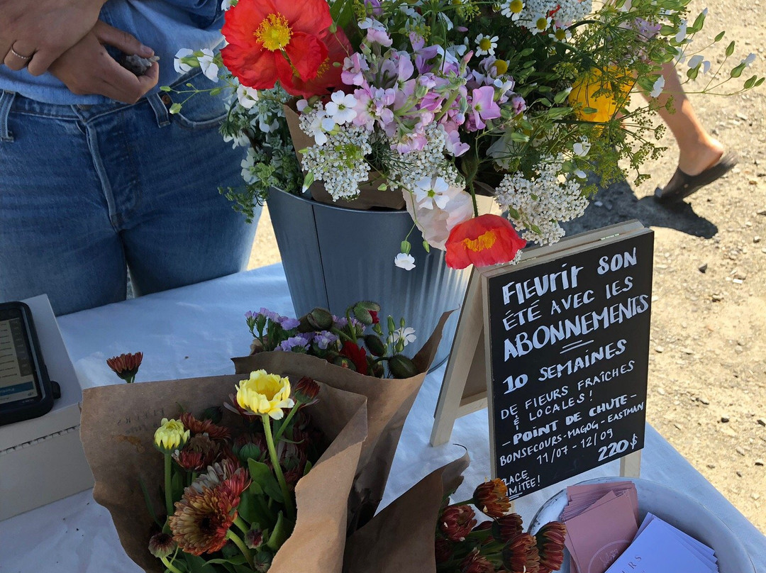 Marché public de Magog-梅戈格必去景点