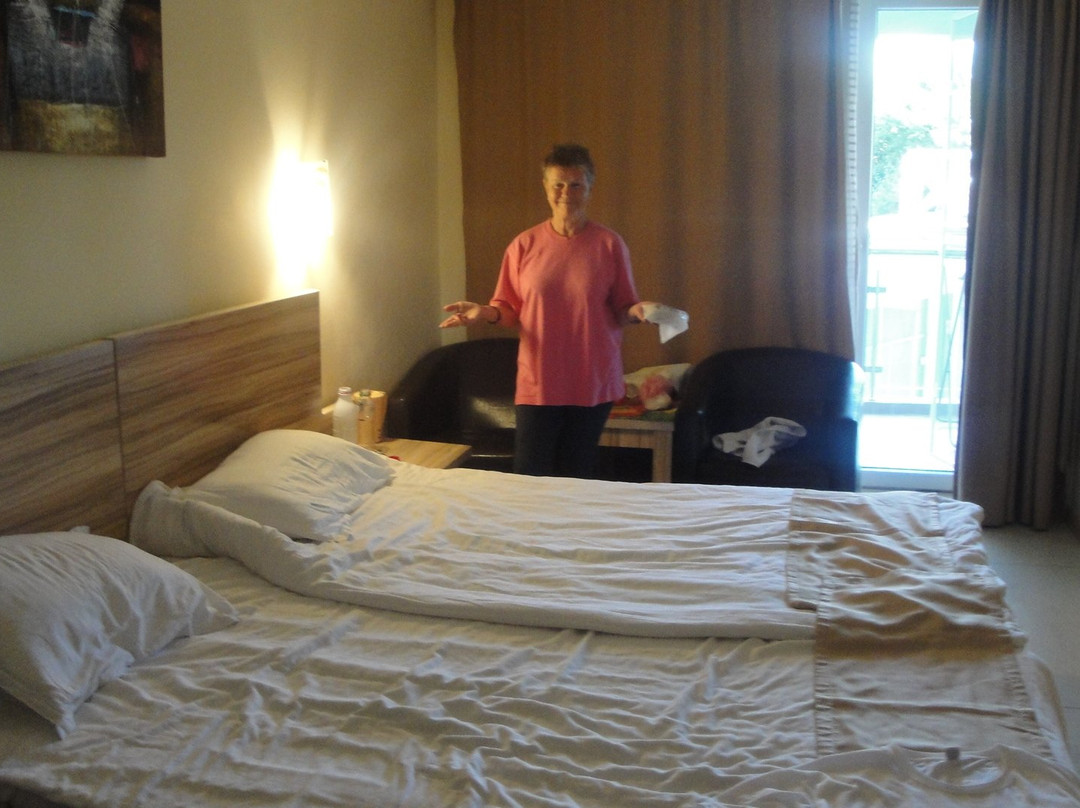 Hotel Fortuna主图