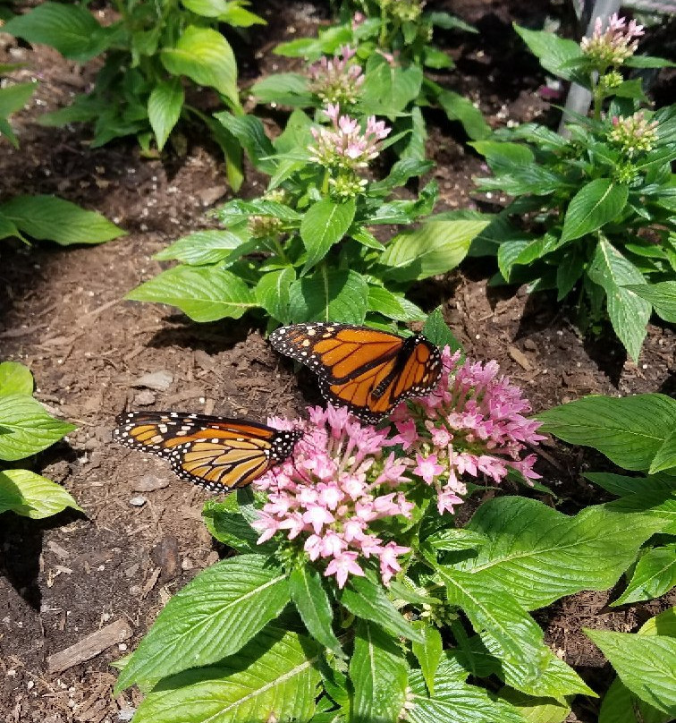 Creekside Gardens-Tunkhannock必去景点