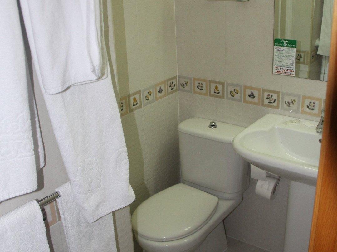 Hotel Carbayon主图