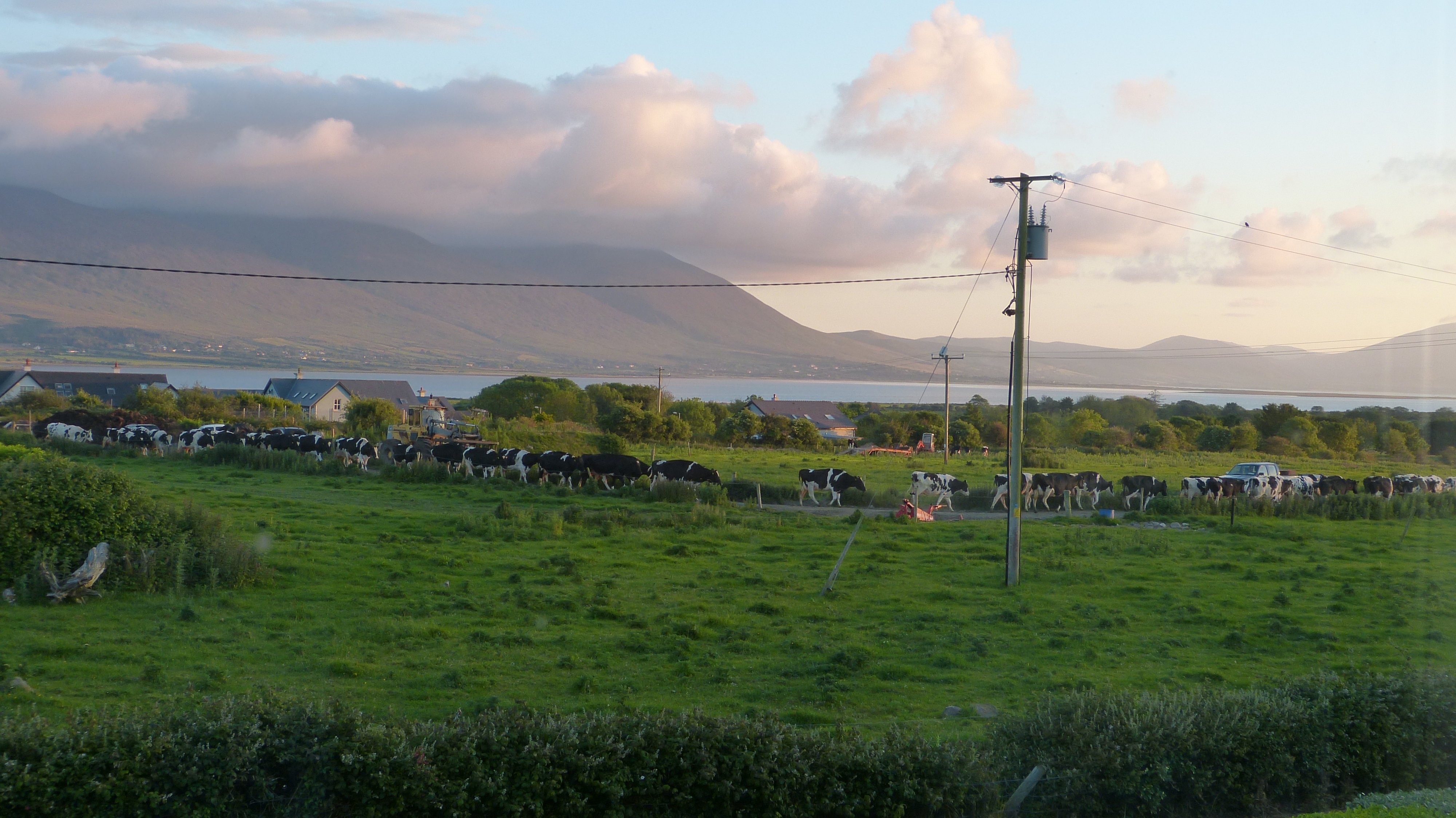 Bayview House-酒店景观