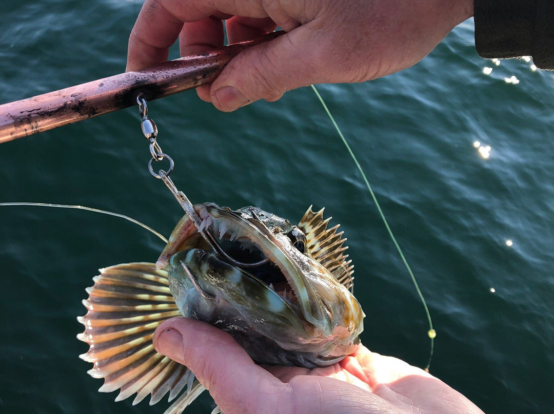 Rumble Beach Fishing Charters景点图片