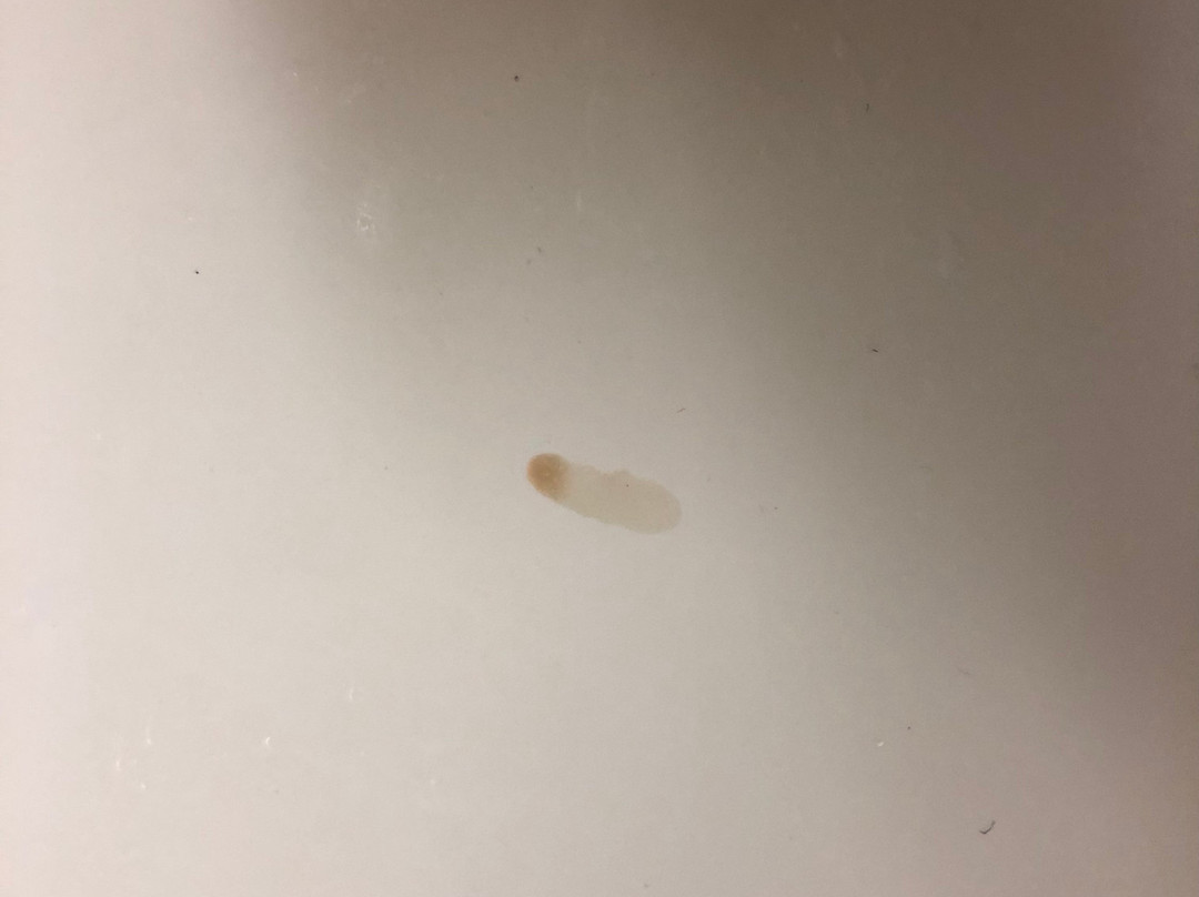 Best Western West Greenwich Inn主图