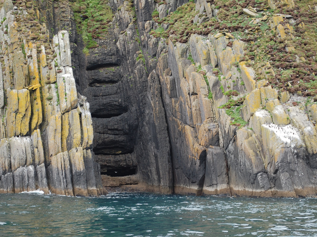 Blasket Islands Eco Marine Tours景点图片