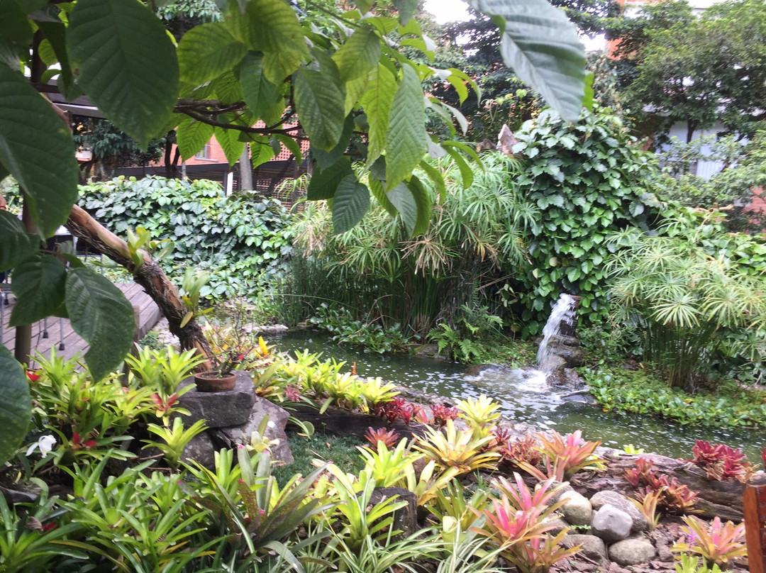 Casa Museo Otraparte-恩维加多必去景点