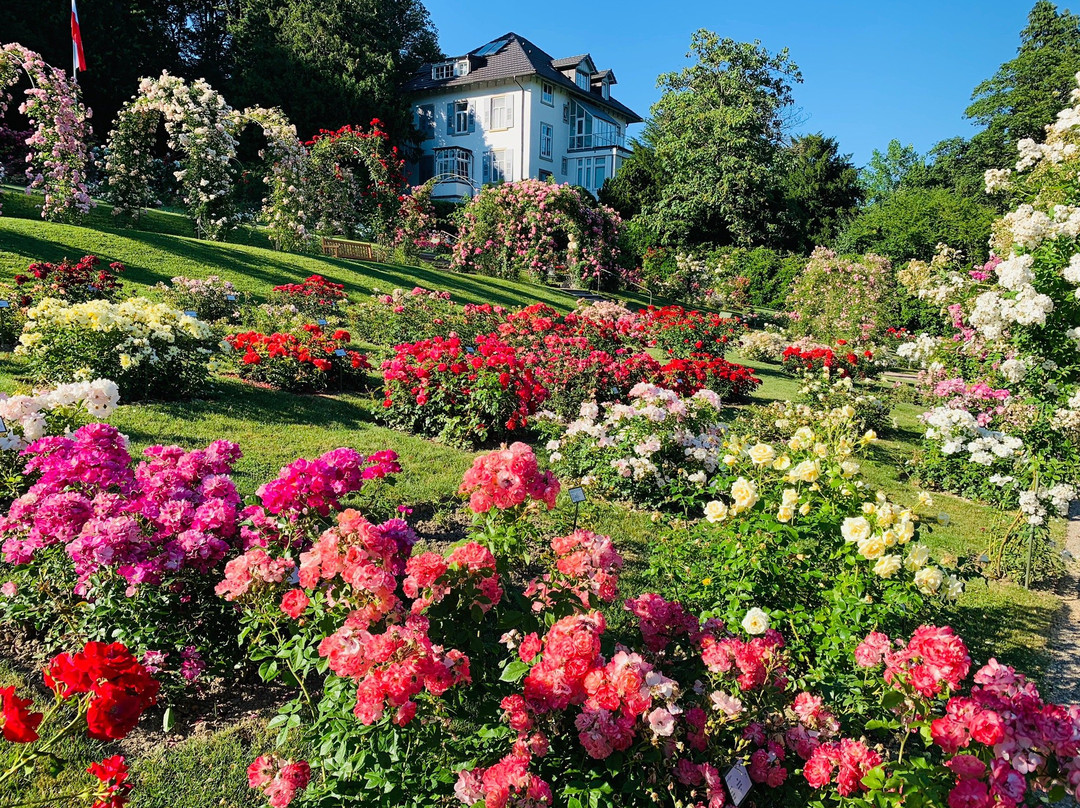 Garten der Rosenneuheiten景点图片