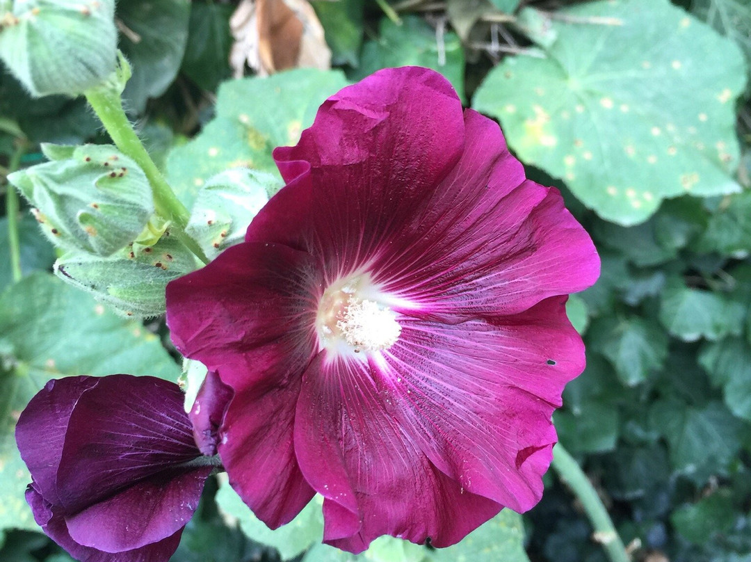 La Clé d'Ailleurs主图