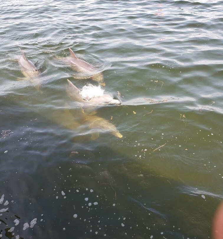 Port Sanibel Marina-迈尔斯堡必去景点