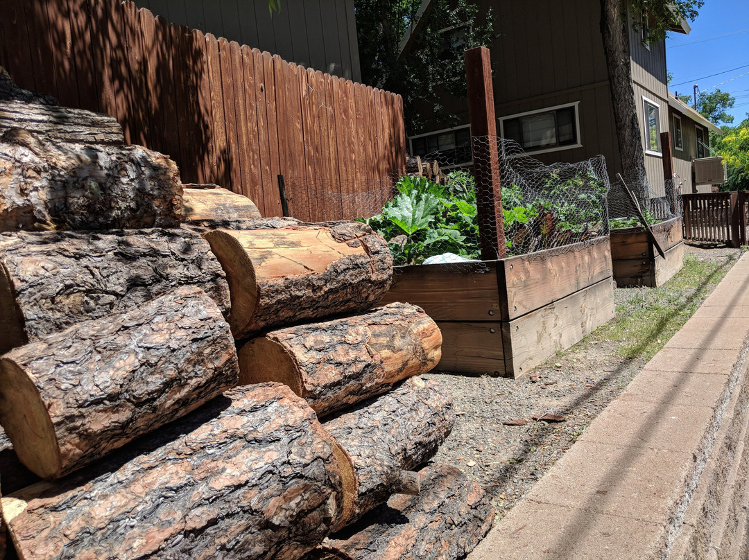 Prescott Pines Inn主图