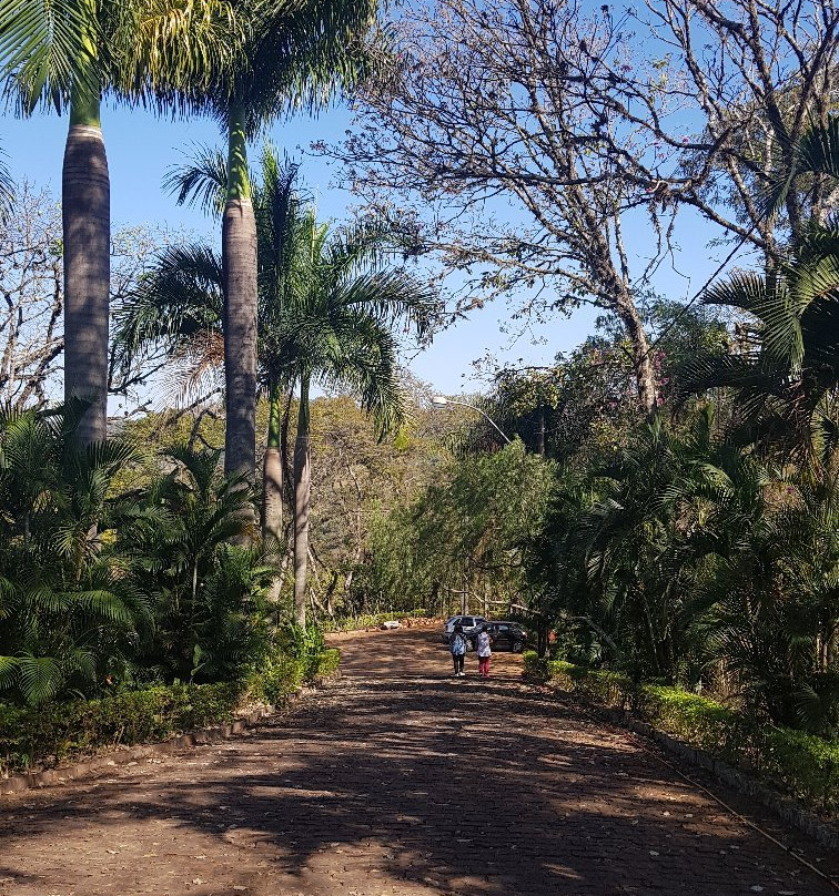 Morro Bom Jesus-Ribeirao Bonito必去景点