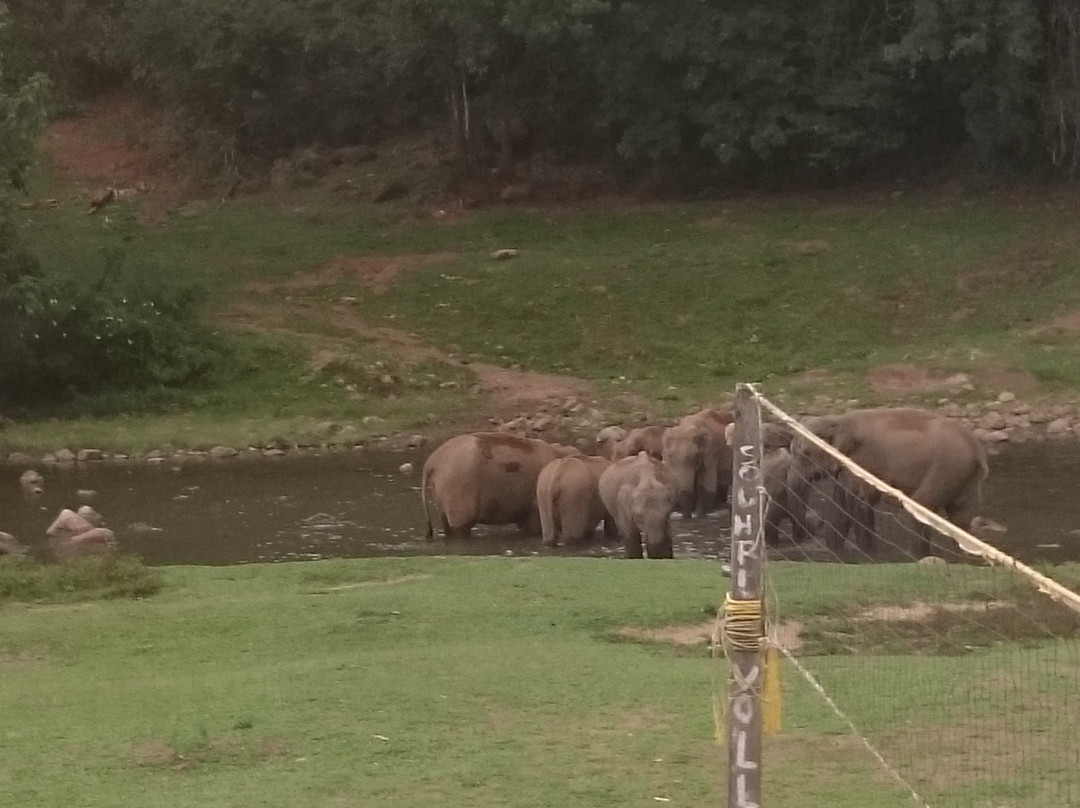 Elephant View Point景点图片