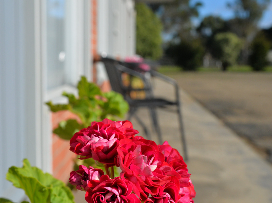 Ship Inn Motel主图