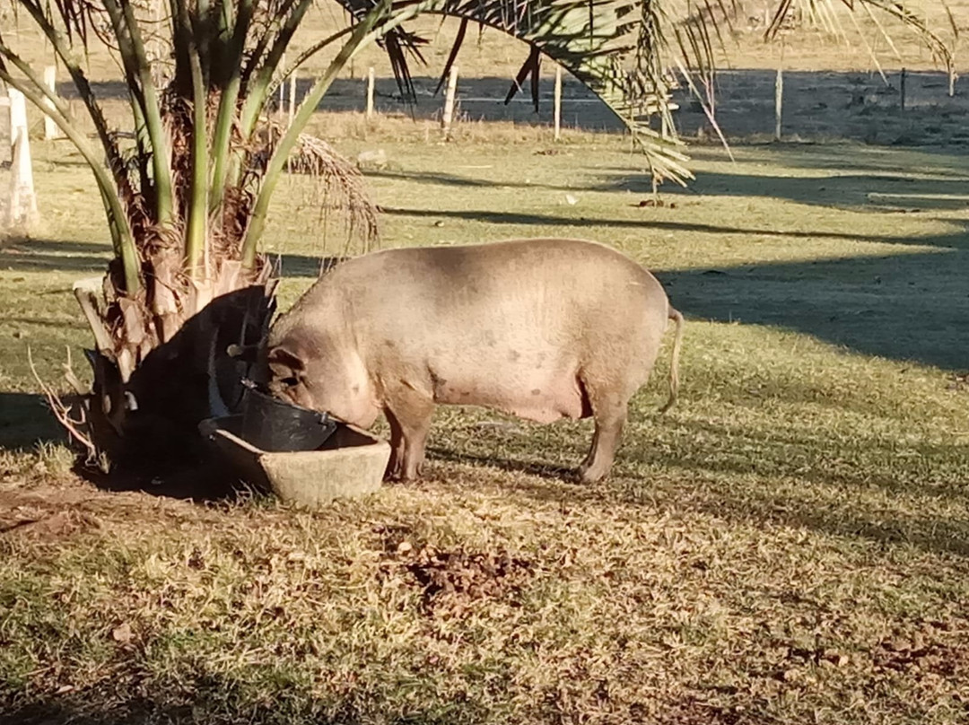 El Balcon del Abra主图