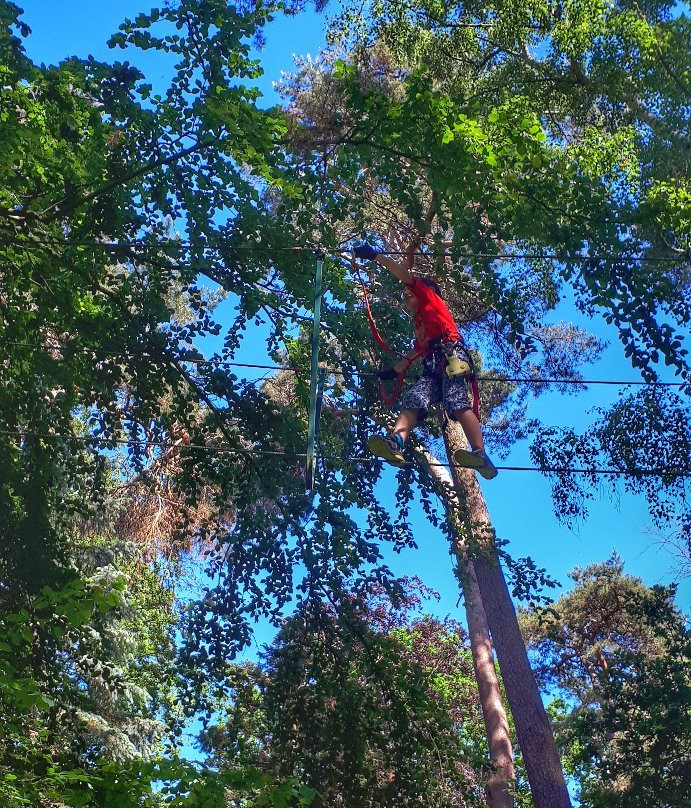 Kletterwald Kuhlungsborn景点图片