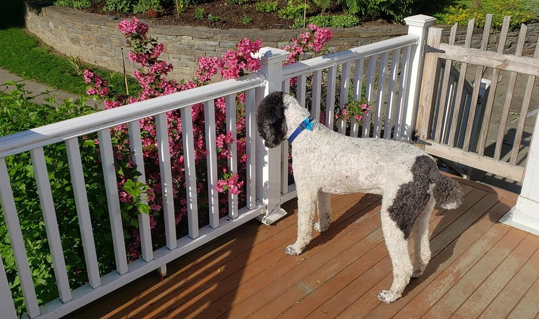 Enfield Manor Bed and Breakfast主图