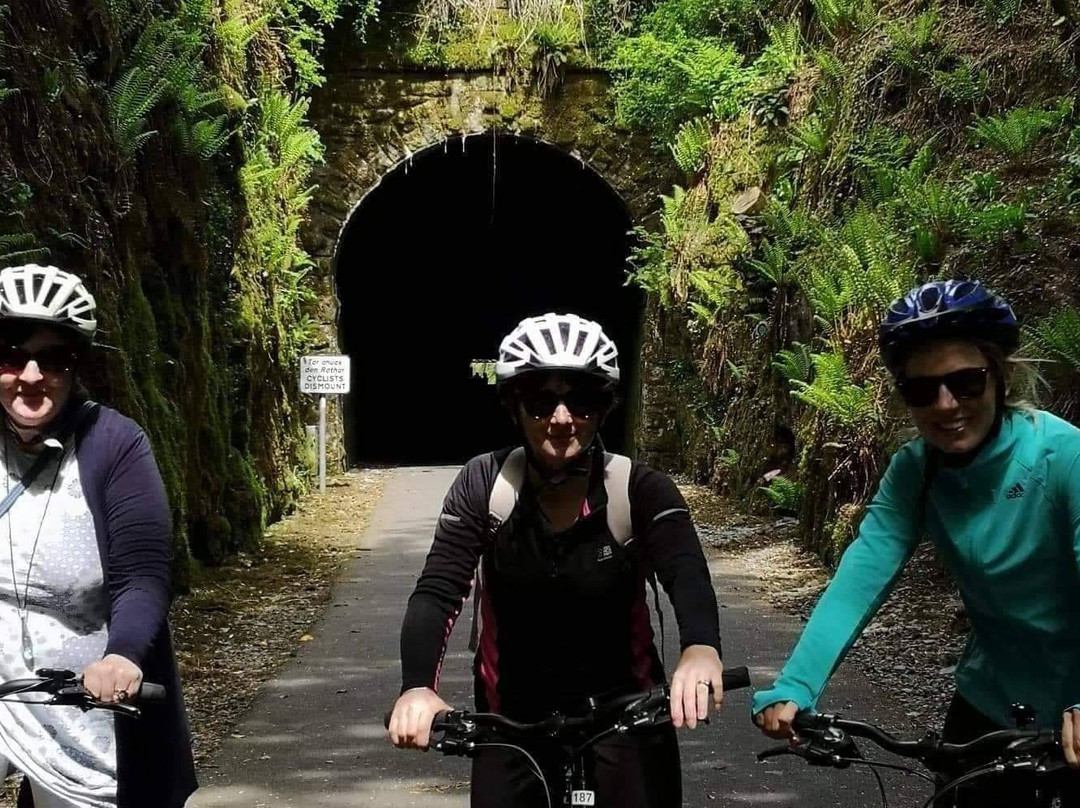 Waterford Camino Tours-沃特福德必去景点