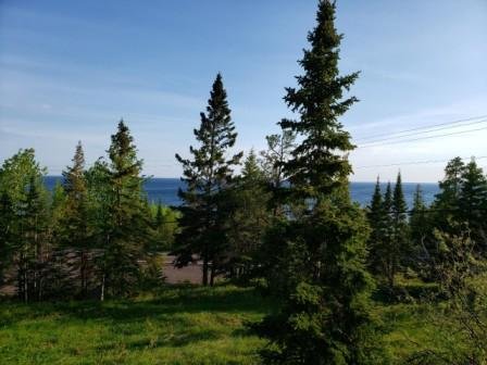 Dapple-Gray Bed & Breakfast and Antiques-官方