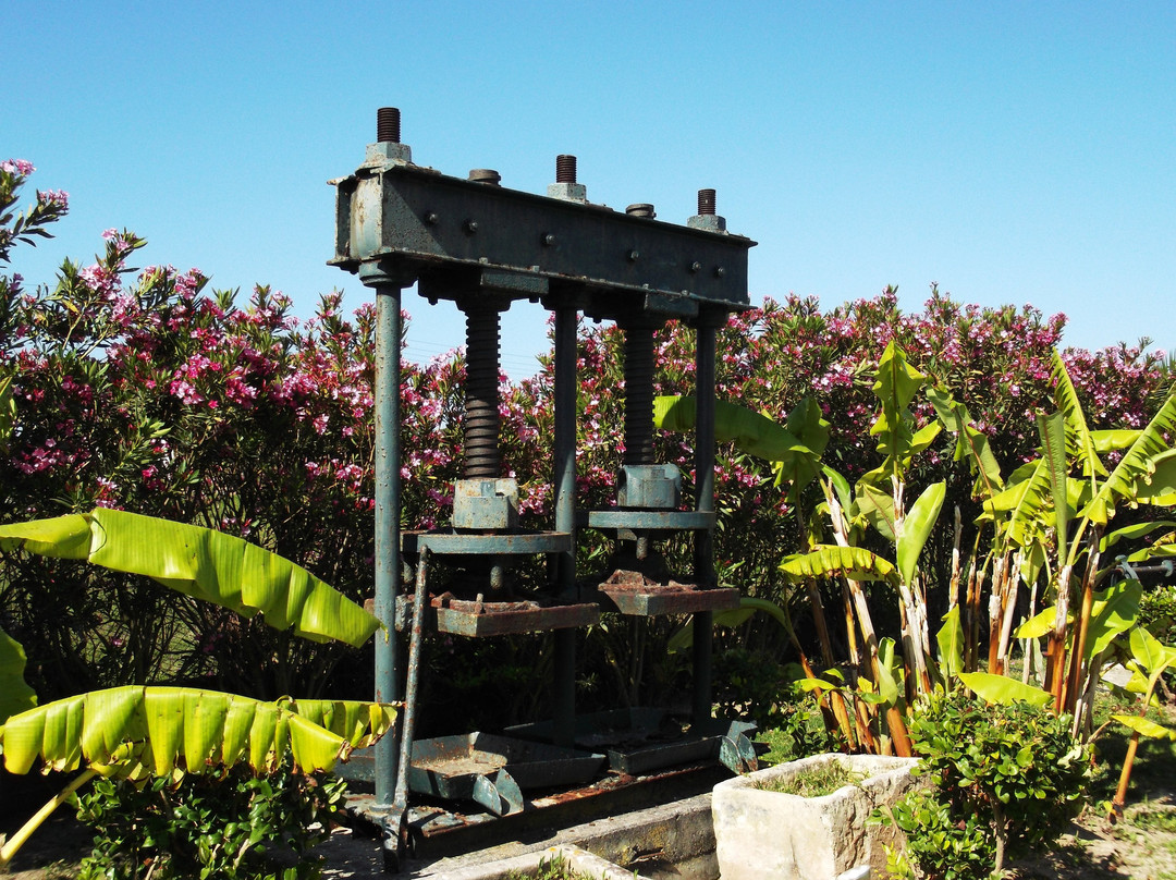 Cephalonia Palace Hotel主图