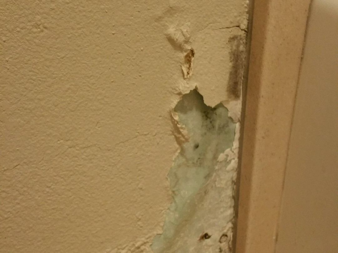 Days Inn by Wyndham Brigham City主图