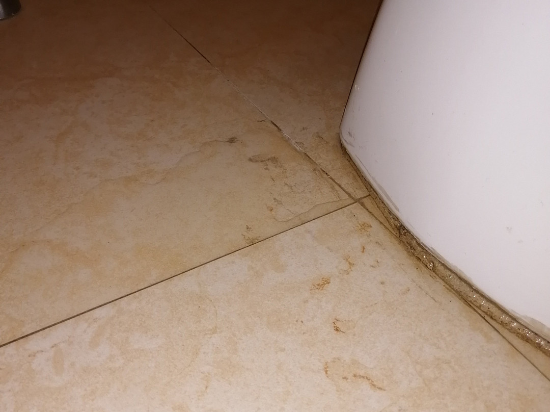 Fiesta Inn Tijuana Otay主图