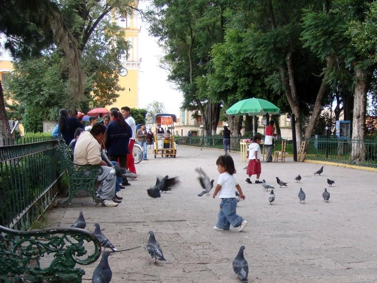 Hotel Casa Calli主图