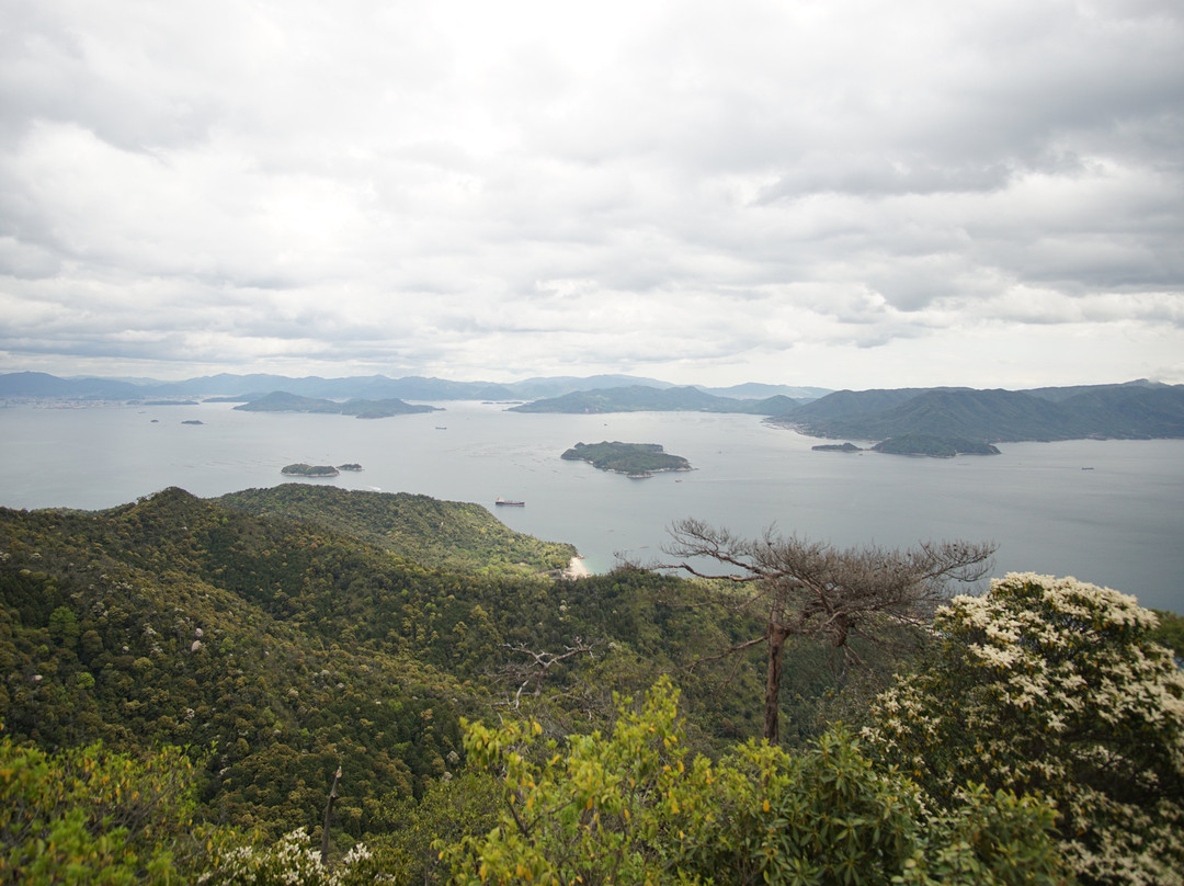 獅子岩展望台景点图片