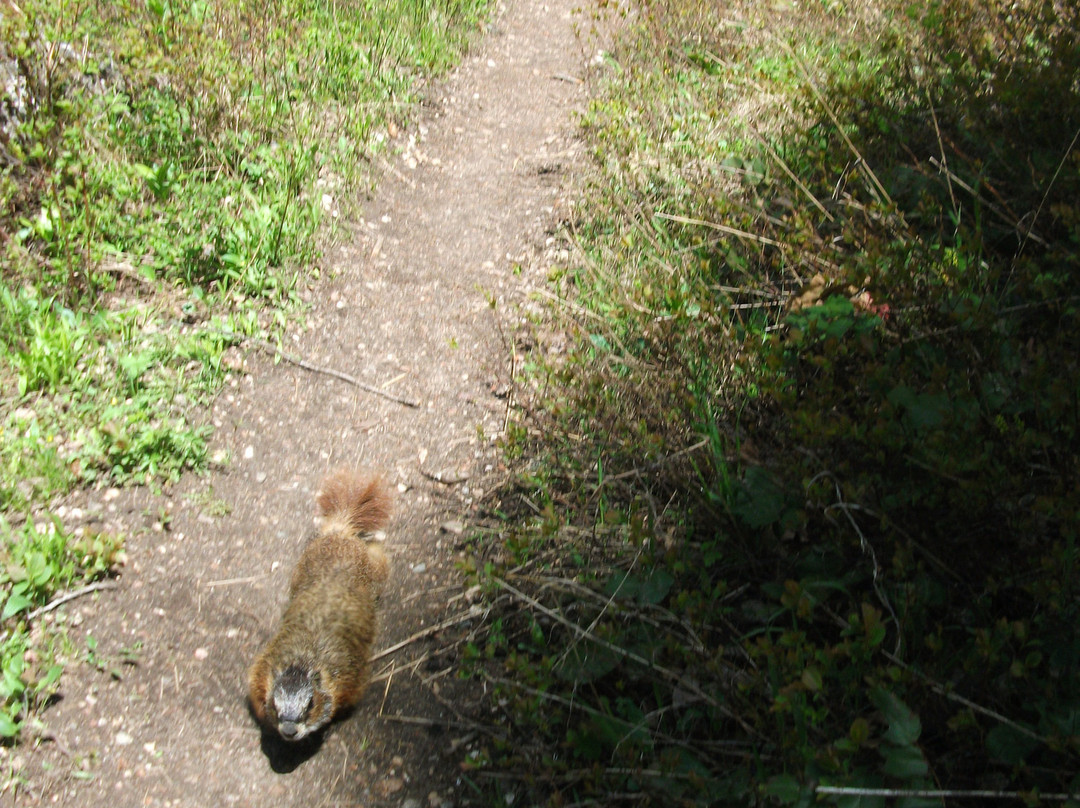 Phelps Lake Trail-大提顿国家公园必去景点