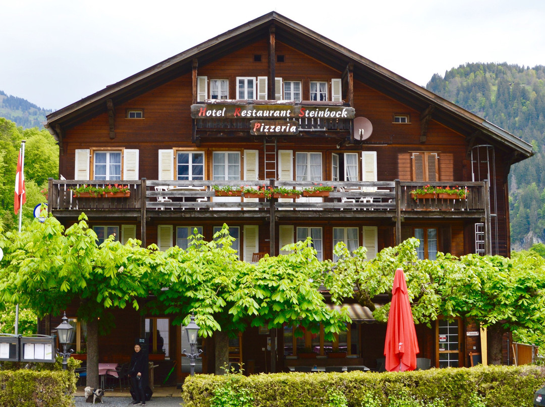 Hotel Steinbock主图
