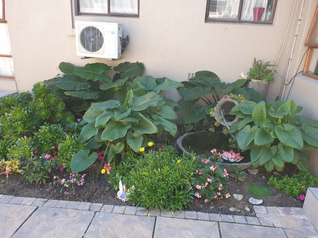 Dilisca Guesthouse主图