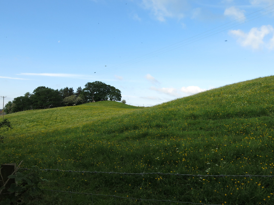 Oswestry Iron Age hill fort-奥斯沃斯特必去景点