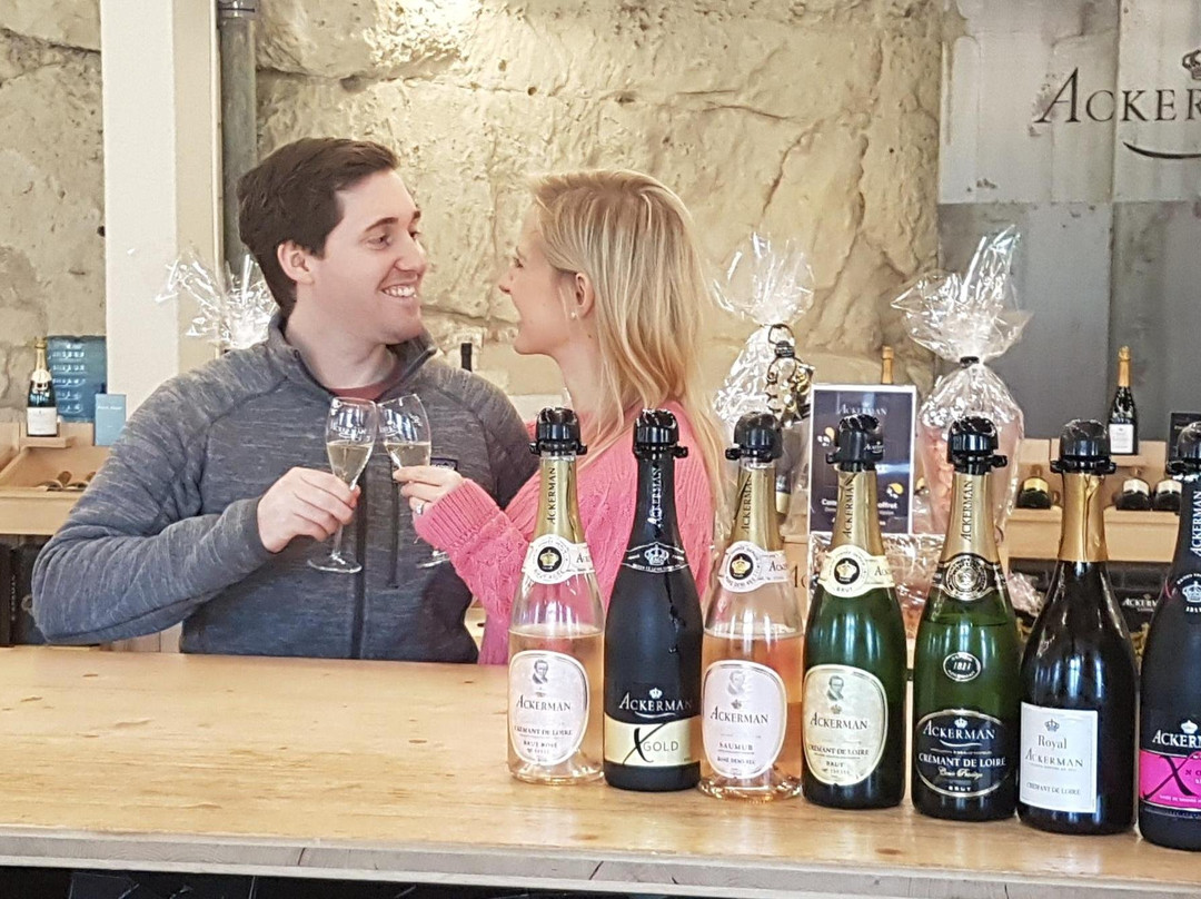 Bumblebee Tours - Loire Valley Wine Experience-梭缪尔必去景点