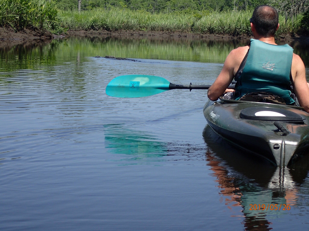 Kayak Charleston-查尔斯顿必去景点