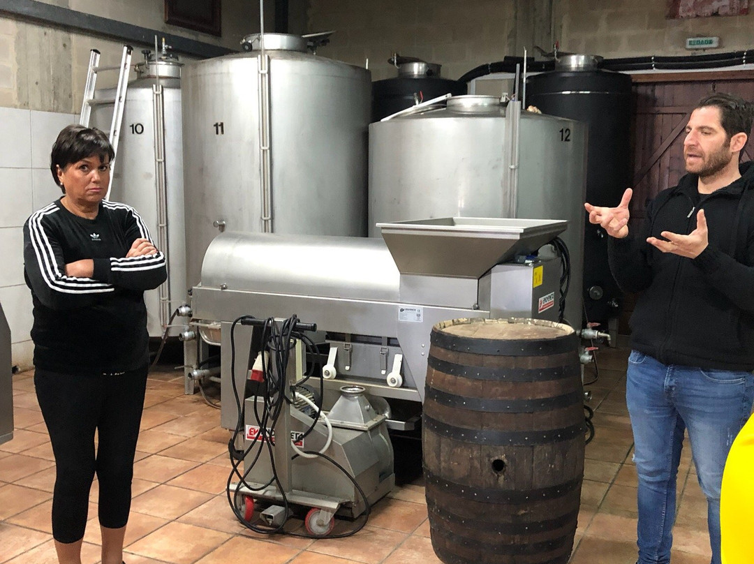 Nelion Winery-Praitori必去景点