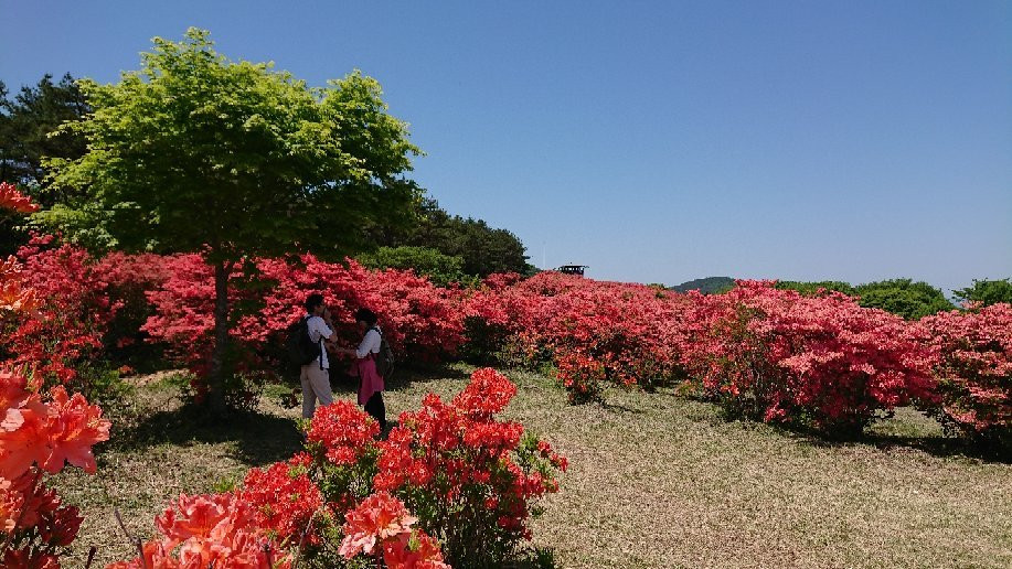 Mt. Tokusenjo-气仙沼市必去景点
