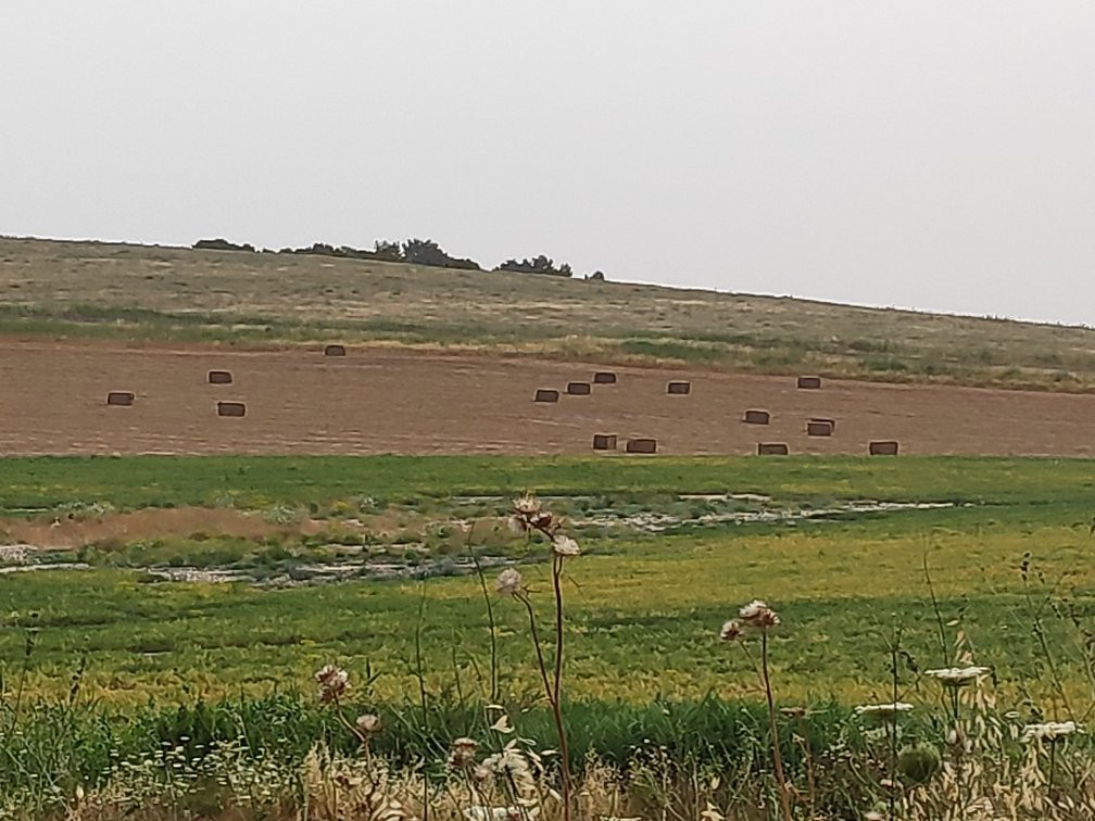Ramot Menashe旅游攻略图片