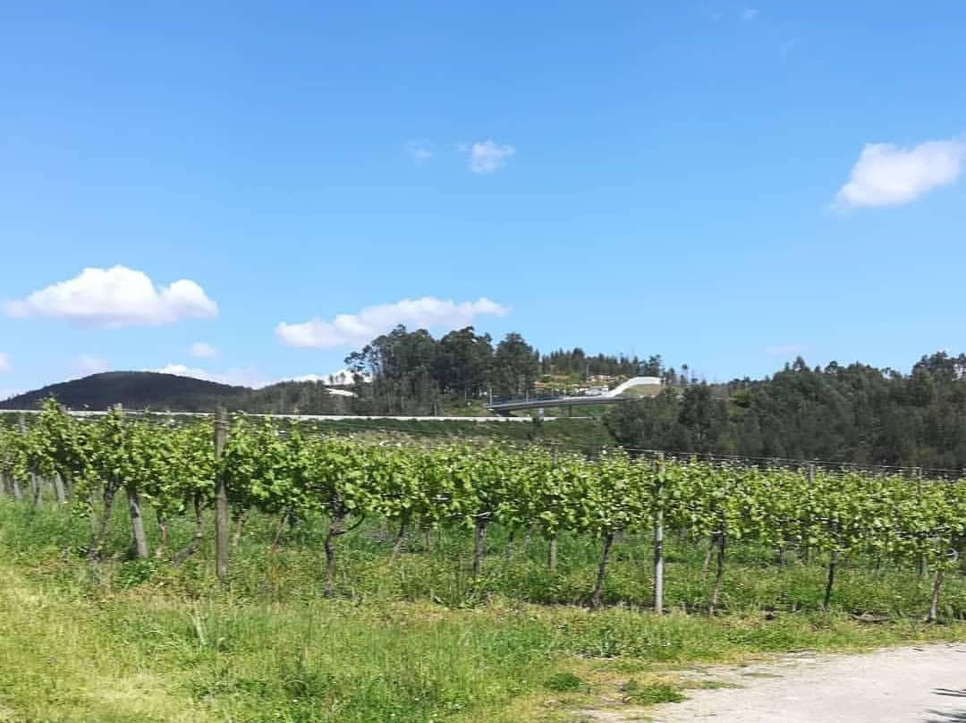 Porto Outside景点图片