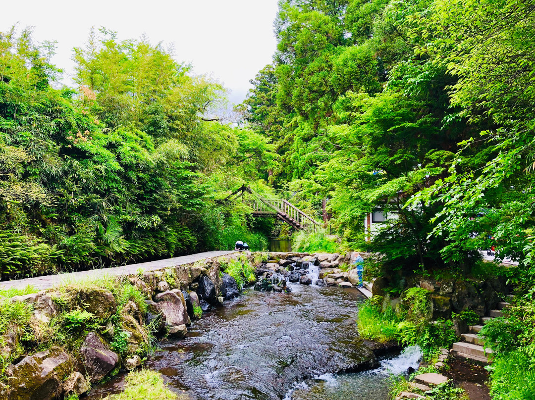 Shirakawa Springs景点图片