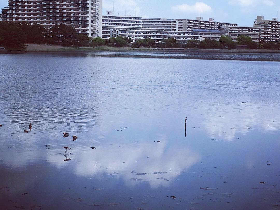 Yatsu Tidal Flats-习志野市必去景点