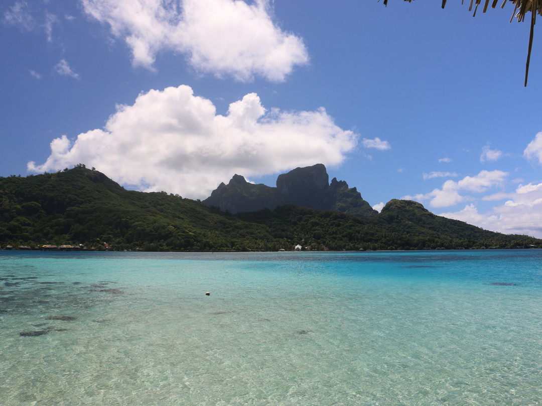 索菲特波拉波拉私人岛屿酒店主图
