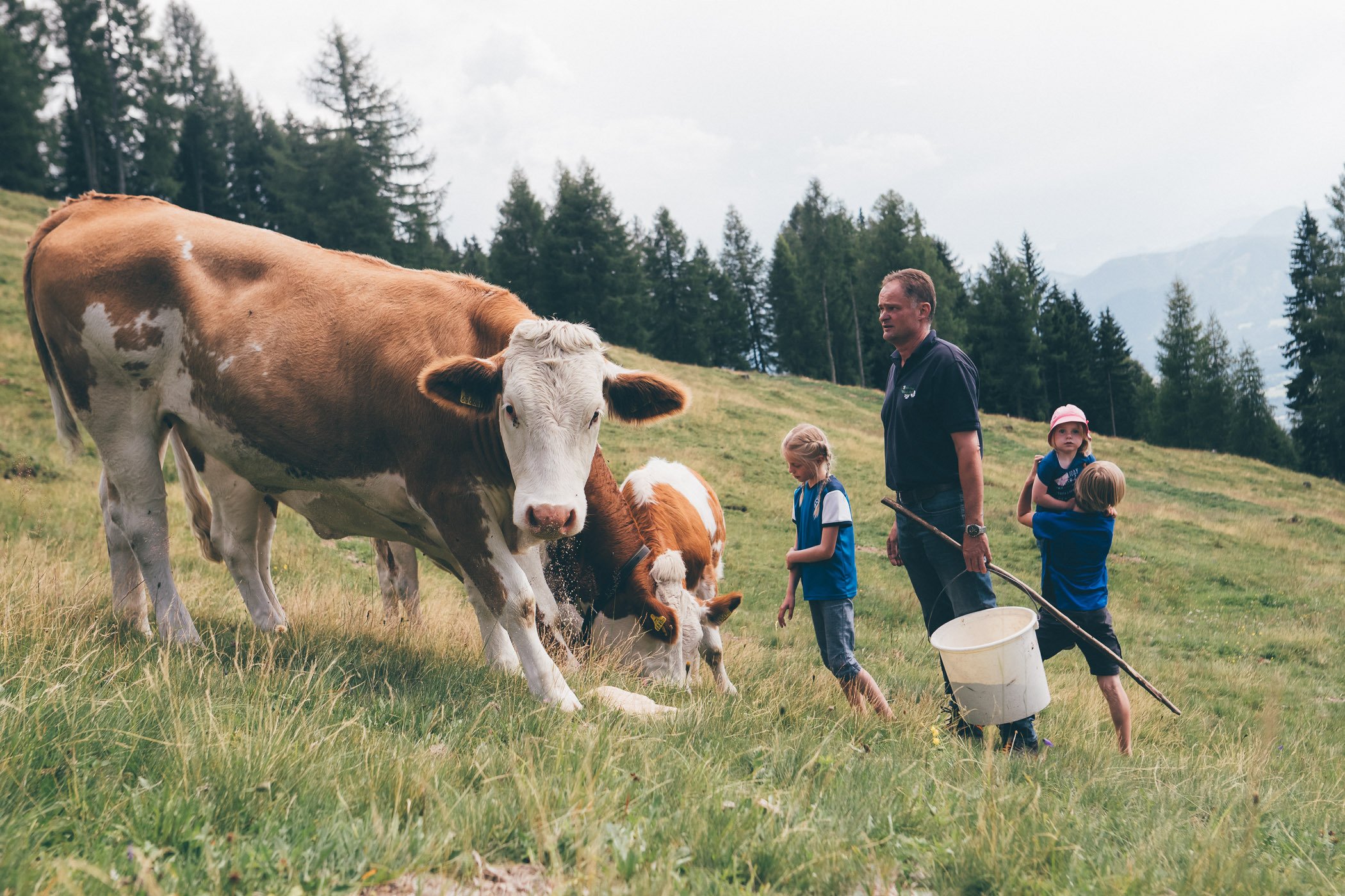 Goetzfried Hof-官方