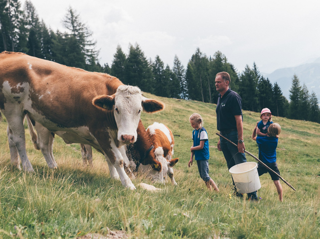 Goetzfried Hof主图