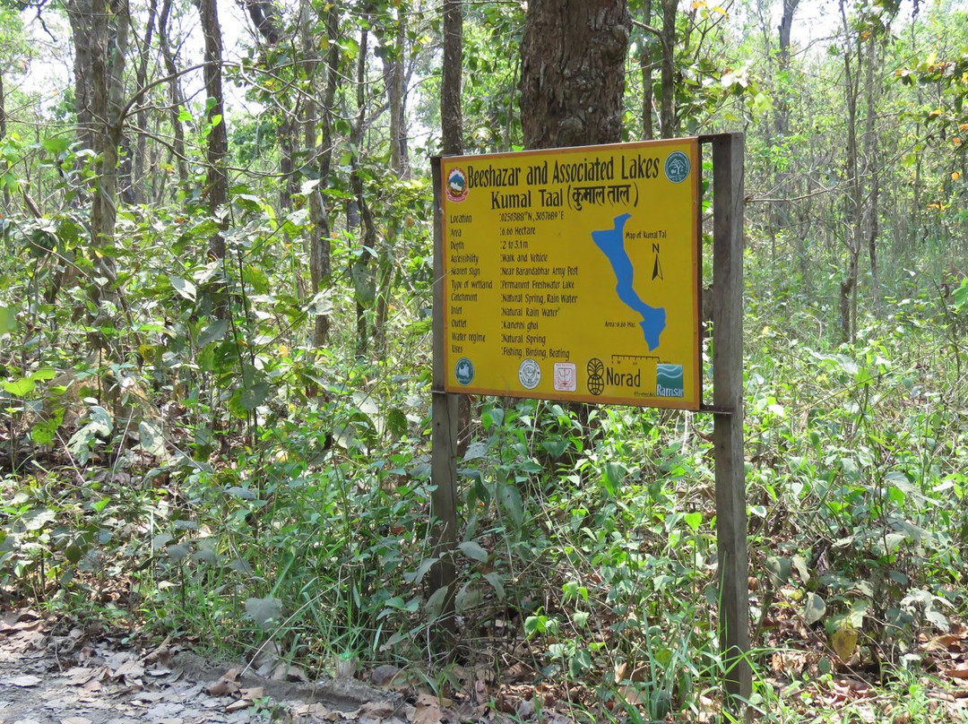 Bishazari Tal-奇旺国家公国必去景点